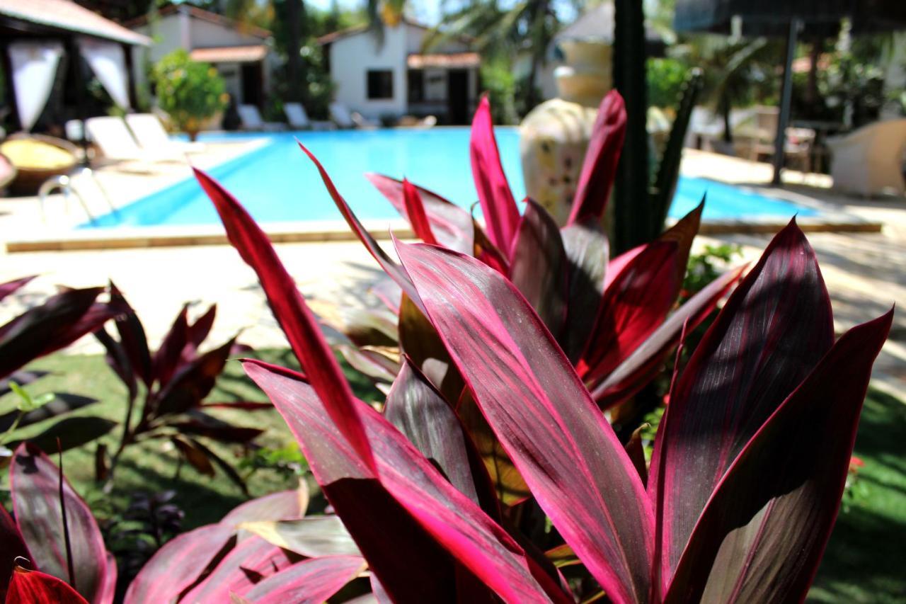 Hotel E Pousada La Dolce Vita Canoa Quebrada Bagian luar foto